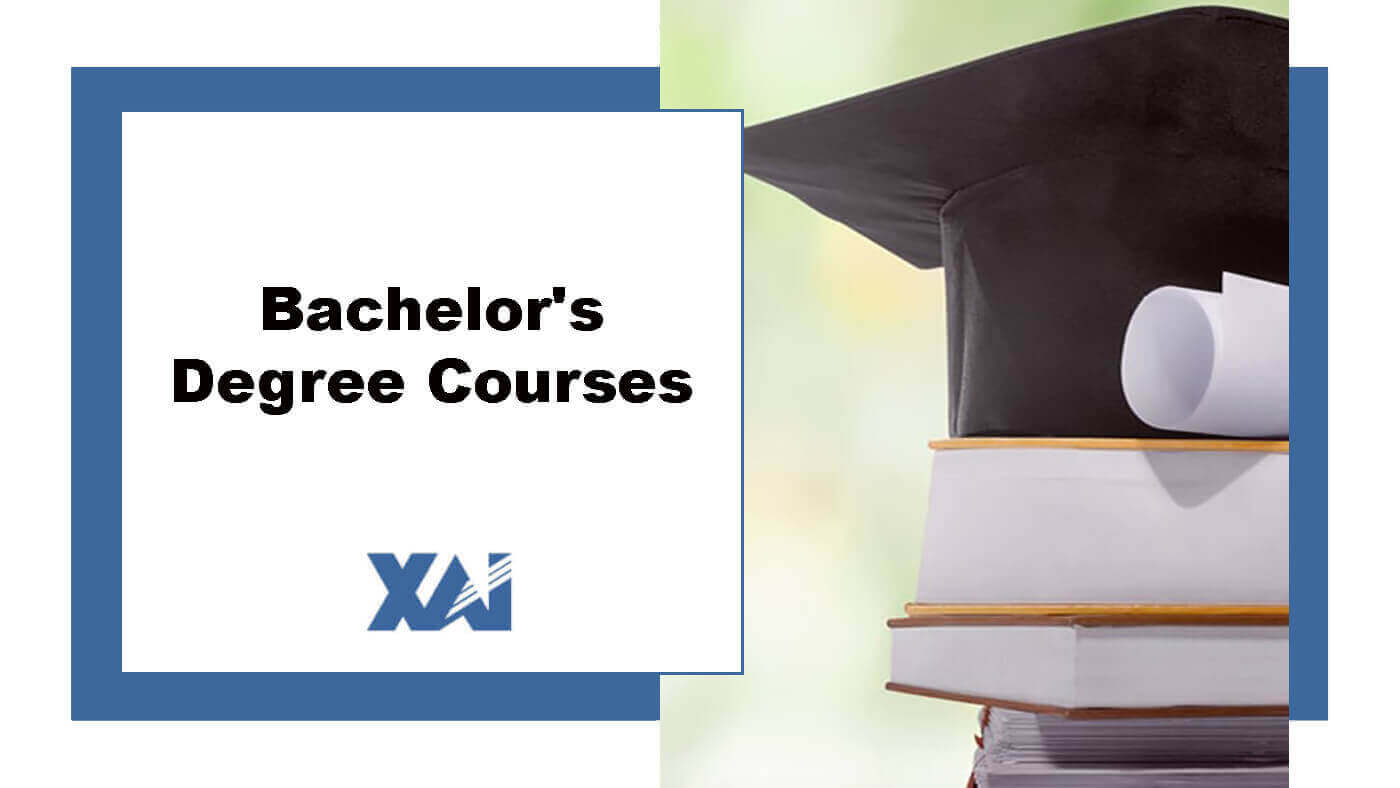 Bachelors Degree Courses
