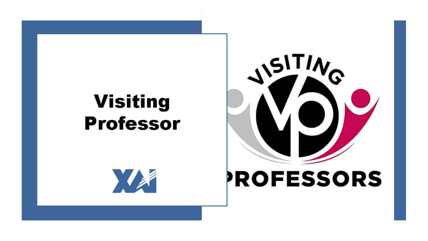 Visiting professor